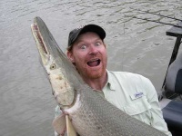 image of gar