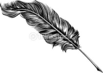 image of feather