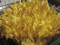image of jackfruit