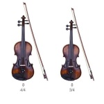 image of violin