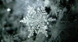 image of snowflake