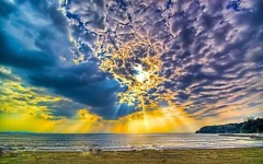 image of sunny