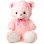 image of teddy_bear