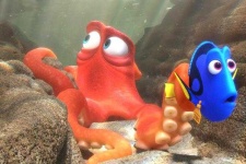 image of octopus