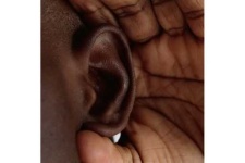 image of ear #7