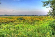 image of prairie