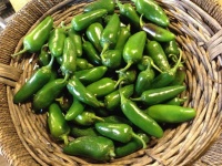 image of fruit_and_vegetable