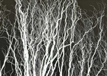 image of texture