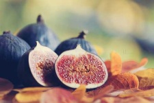 image of fig