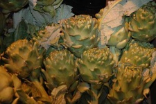 image of artichoke
