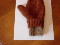 image of mitten
