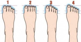 image of human_body_parts