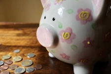 image of piggy_bank #23