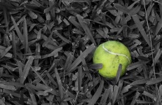 image of tennis_ball #6