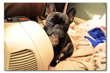 image of space_heater