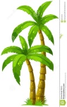 image of palm_tree #16