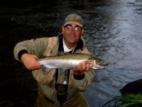 image of coho