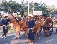 image of oxcart