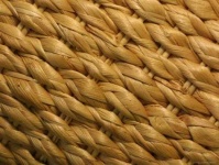 image of texture