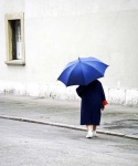 image of umbrella