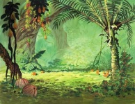 image of jungle