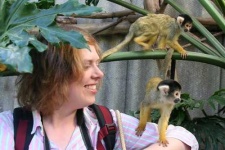 image of spider_monkey