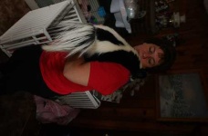 image of skunk