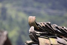 image of tile_roof