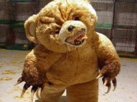 image of teddy_bear