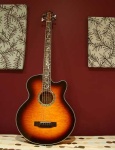 image of acoustic_guitar
