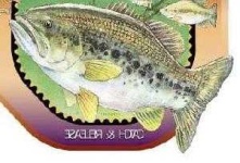 image of animal