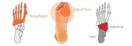 image of foot #23