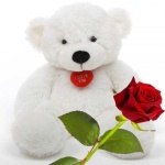 image of teddy_bear