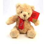 image of teddy_bear