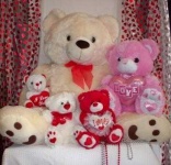 image of teddy_bear