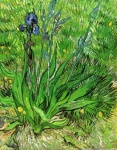 image of art
