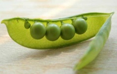 image of peas #33