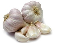 image of garlic #23