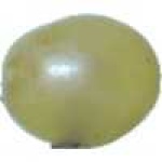 image of fruit