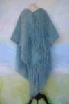image of poncho
