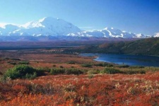 image of tundra