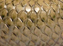 image of texture