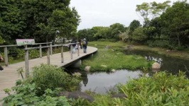 image of wetland