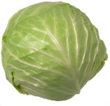 image of cabbage #4