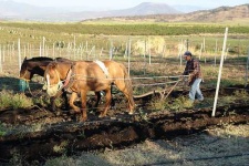 image of plow