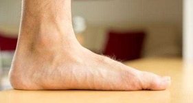 image of human_body_parts