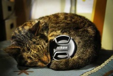 image of lens_cap
