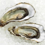 image of oyster #49