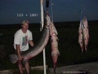 image of gar