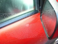 image of car_mirror